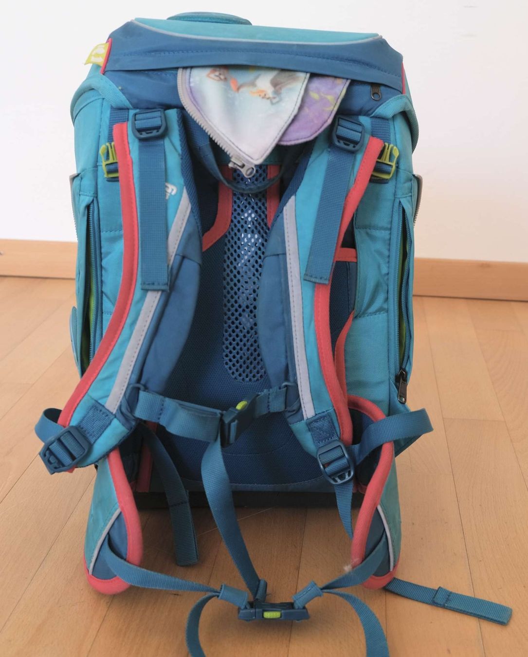 Ergobag Borse & Zaini: Ergobag Schulrucksack mit Turnbeutel und Etui – Usato da Stäfa venduto da cka_5r5z 9