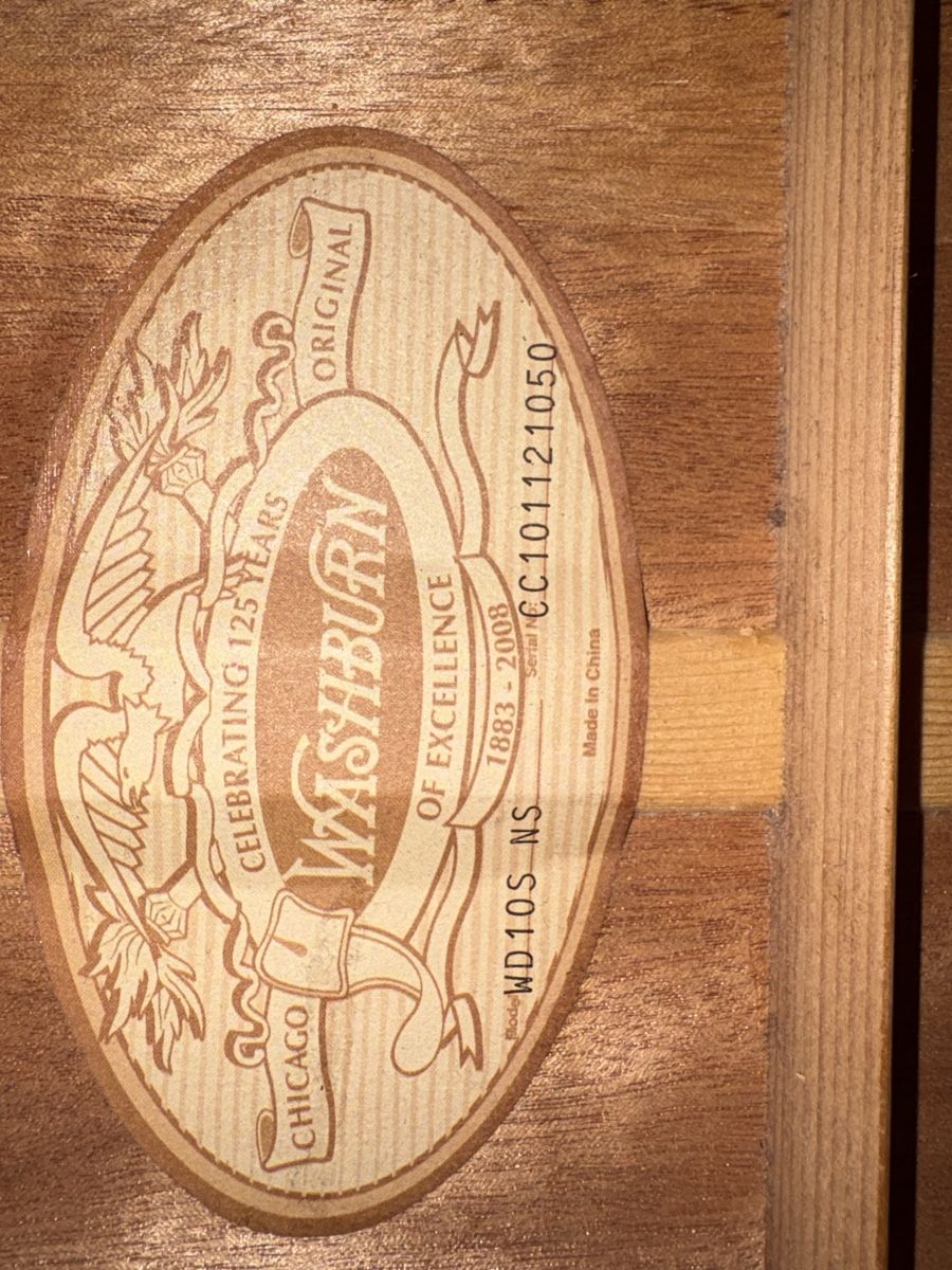 Washburn Strumenti musicali: Chitarra Washburn – Usato da Paradiso venduto da ago_yj79 5
