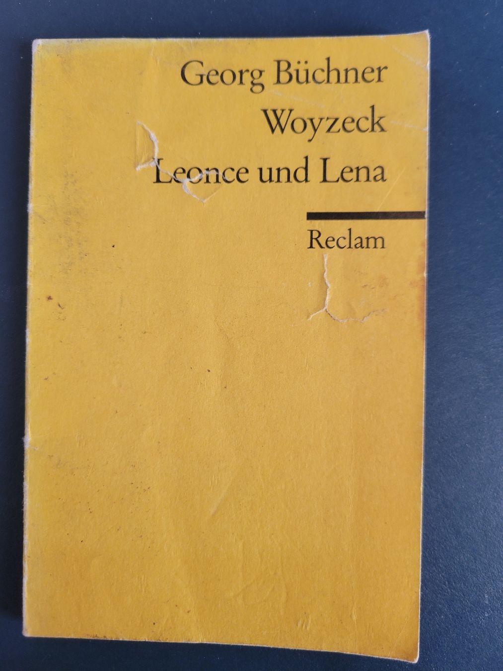 Bücher: Woyzek, Leonce und Lena (Buchner) – Gebraucht aus zürich von Annettemana