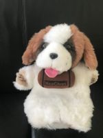 BERNHARDINER, WÄRMFLASCHE, Hund als Kinderwärmflasche