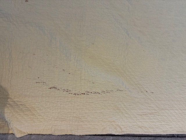 Coperte: Antique Quilt Sunnbonnet – Usato da Rudolfstetten venduto da Bungur 6