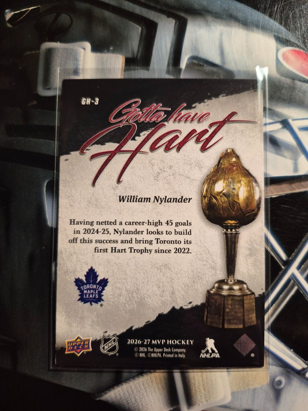 NHL Cartes à collectionner: NHL William Nylander Toronto Maple Leafs – D'occasion à Treiten par Sauber73 1
