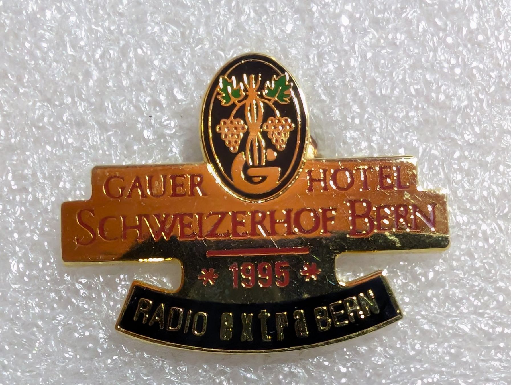 Placchette & Badge: Ansteckpin 289: Schweizerhof – Usato da Oppligen venduto da Pin-Fall-Shop