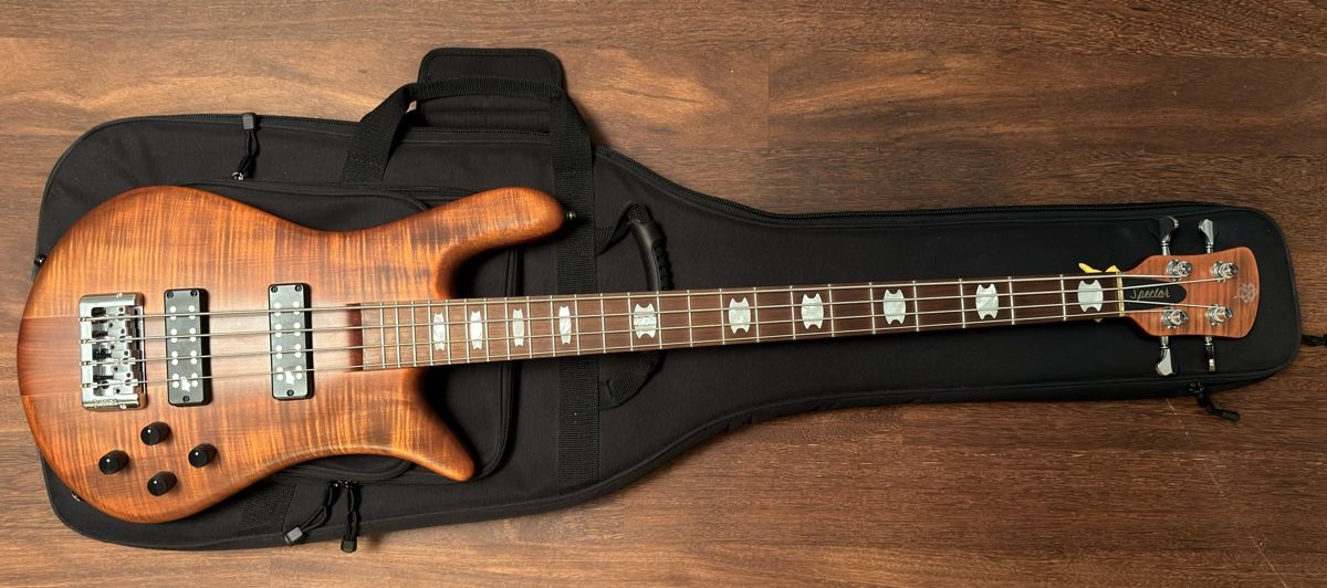 Strumenti musicali: Spector RST 4-String in Sienna Stain – Nuovo (secondo la descrizione) da Pfäffikon ZH venduto da roman-zuerich