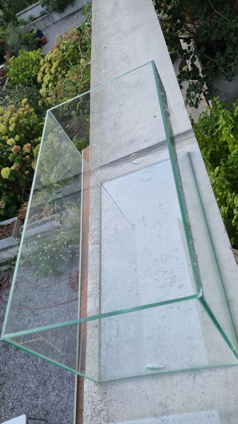 Terrario: Formicarium / Ameisenarena – Usato da Zürich venduto da faka01 1