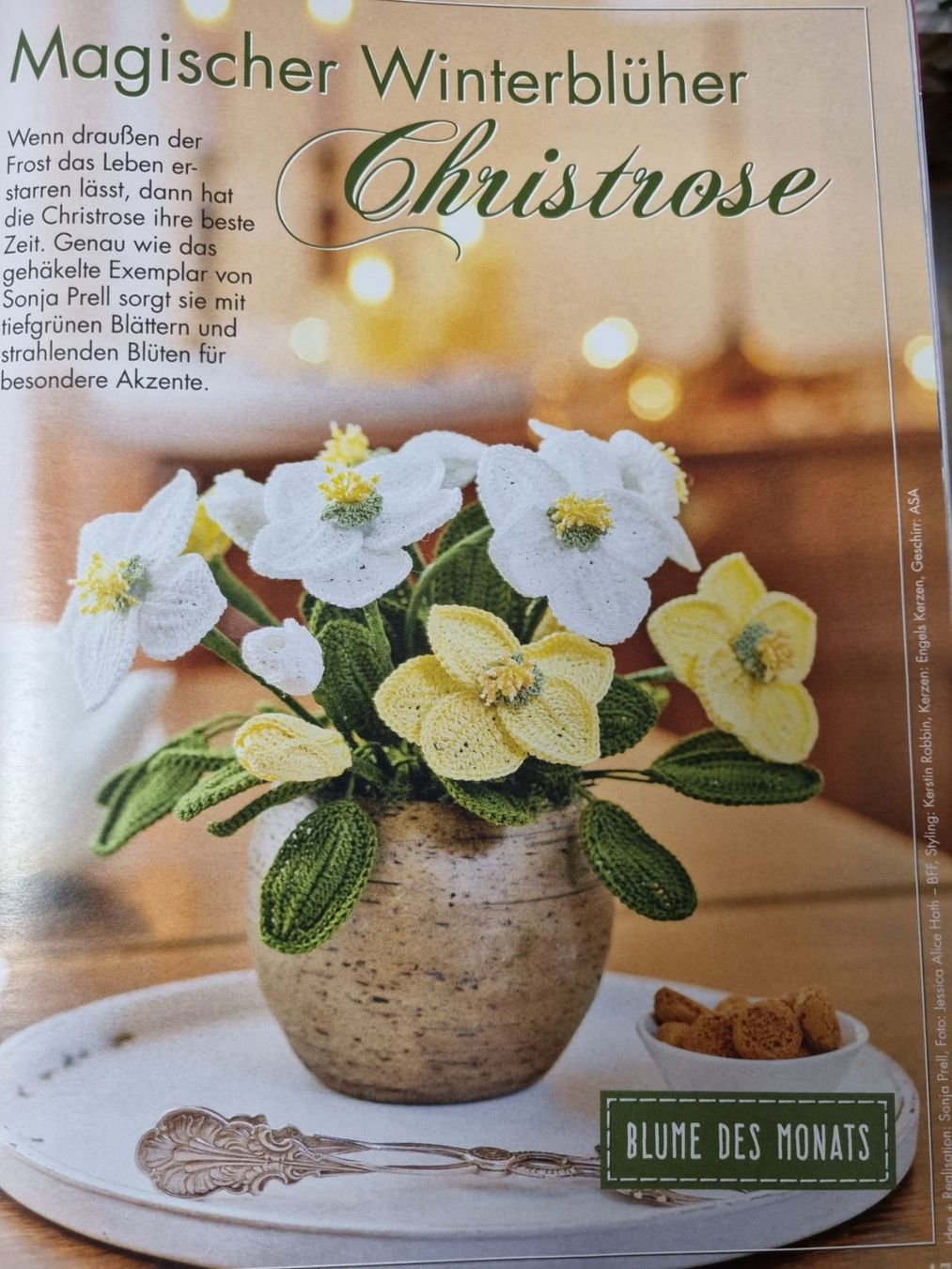 Riviste & Magazine: Anna, Strick Journal, Ideen zum Selbermachen – Nuovo (secondo la descrizione) da Geroldswil venduto da Agapanthus22 1