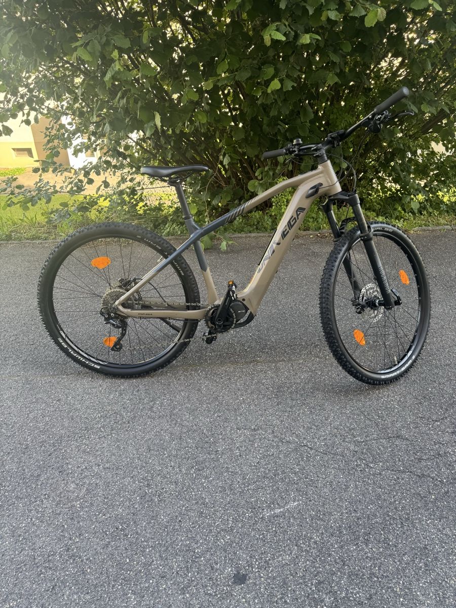 Univega Biciclette: E -bike Univega – Usato da Grenchen venduto da ace_sd5n 1