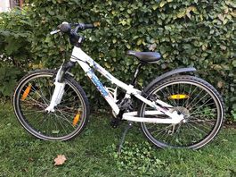 Scott Contessa JR 24"