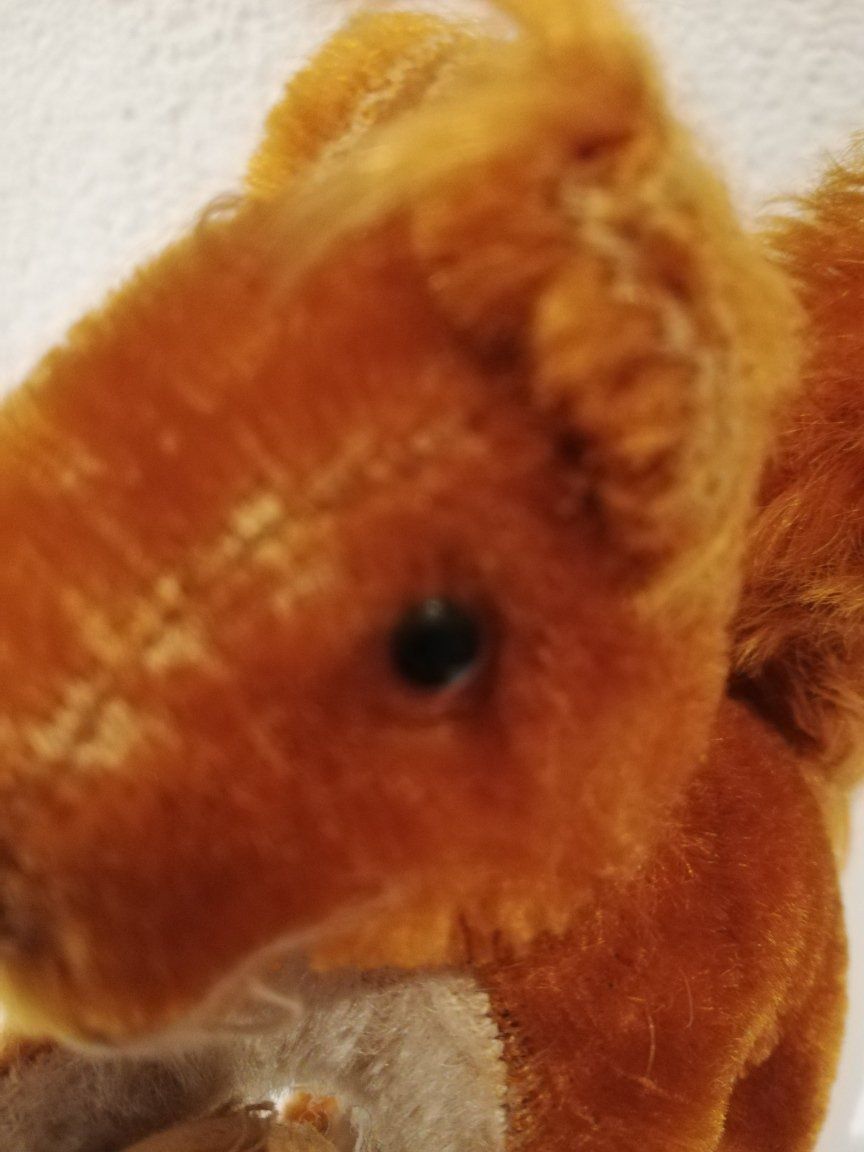 Teddy Hermann Giocattoli: Eichhörnche Teddy Hermann od. Steiff ? – Usato da Sissach venduto da luvama 4