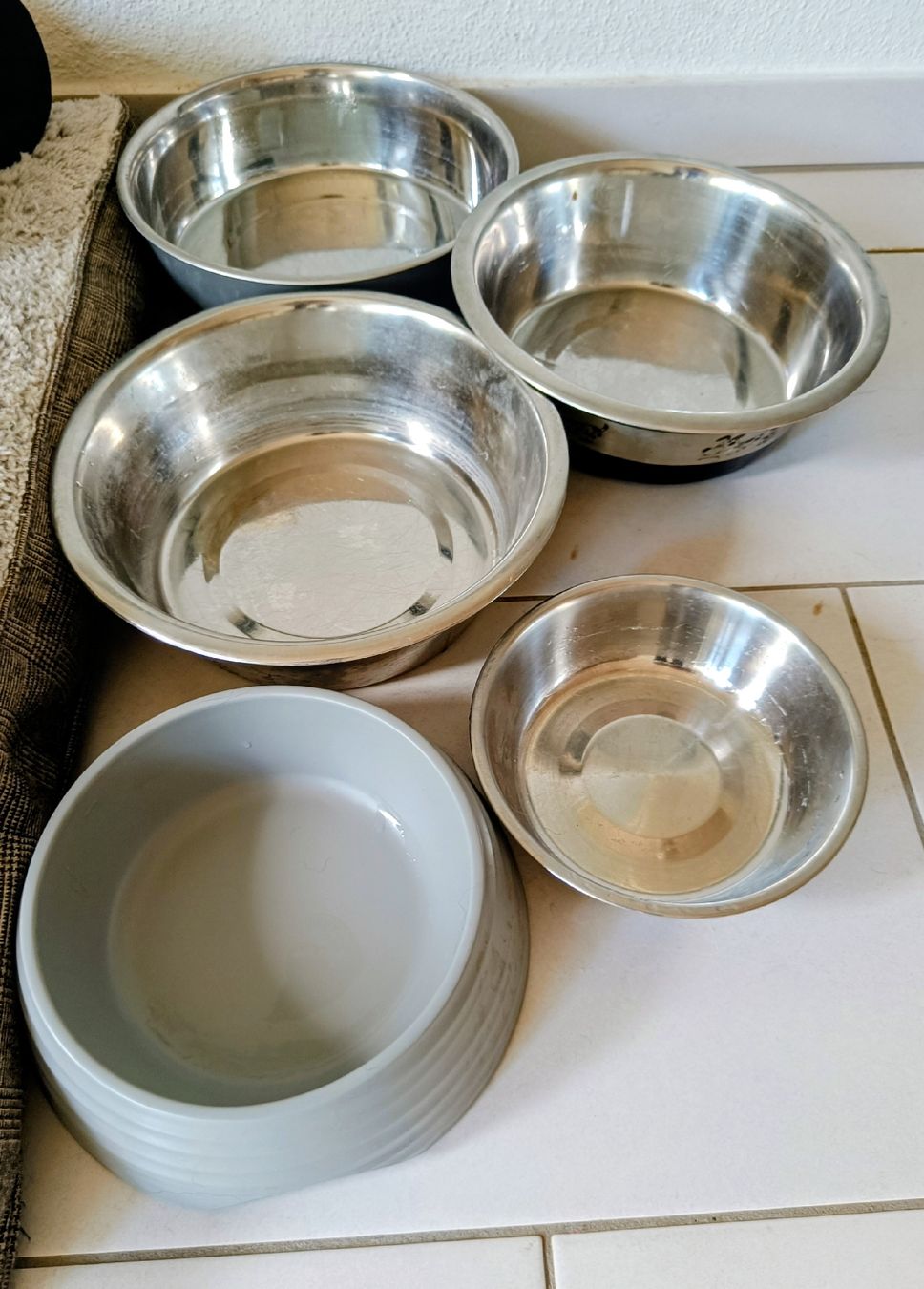 Abbigliamento: Hunde Zubehör – Usato da Rufi venduto da tui_g6y2 8