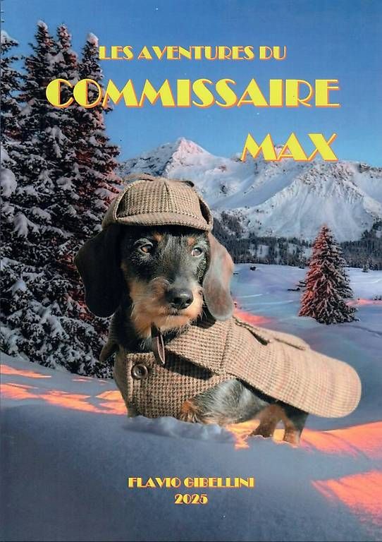 Libri: LES AVENTURES DU COMMISSAIRE MAX – Usato da Bioggio venduto da gib_sf6s