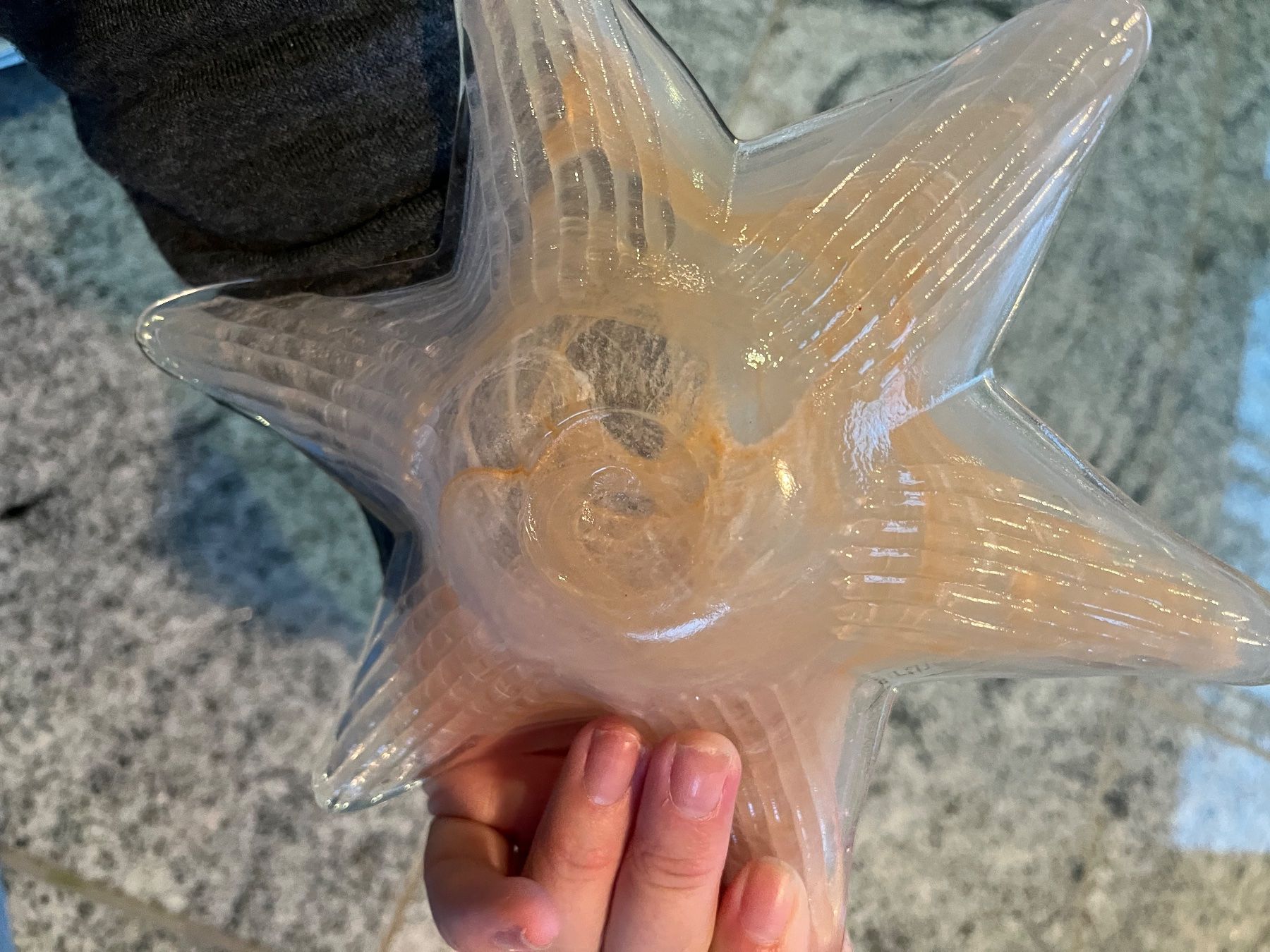 Servierplatten: 2er Set Weinfurtner Glas Schalen – Gebraucht aus Basel von Tierschutz-Flohmi 3