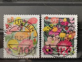 2025 Saisonale Blumen Vollstempel