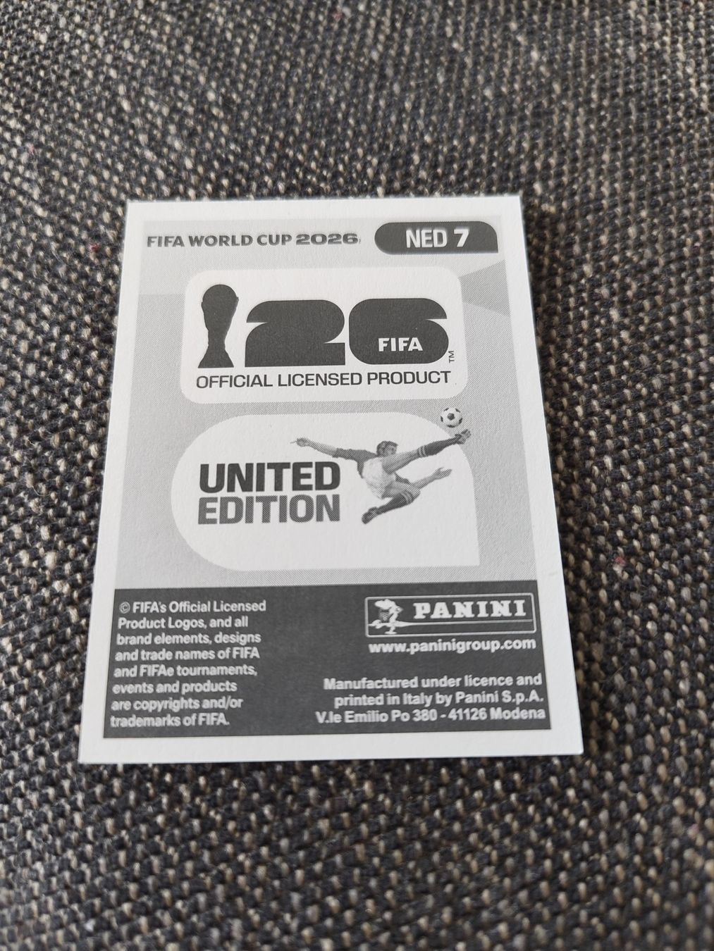 Panini Carte collezionabili: Panini 2026 Wm Ned 7 – Nuovo (secondo la descrizione) da Lieli venduto da Maholo 1