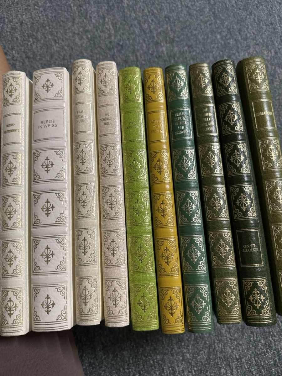 Libri: Avantibücher 10 Stück  – Usato da Baltschieder venduto da YmroBe