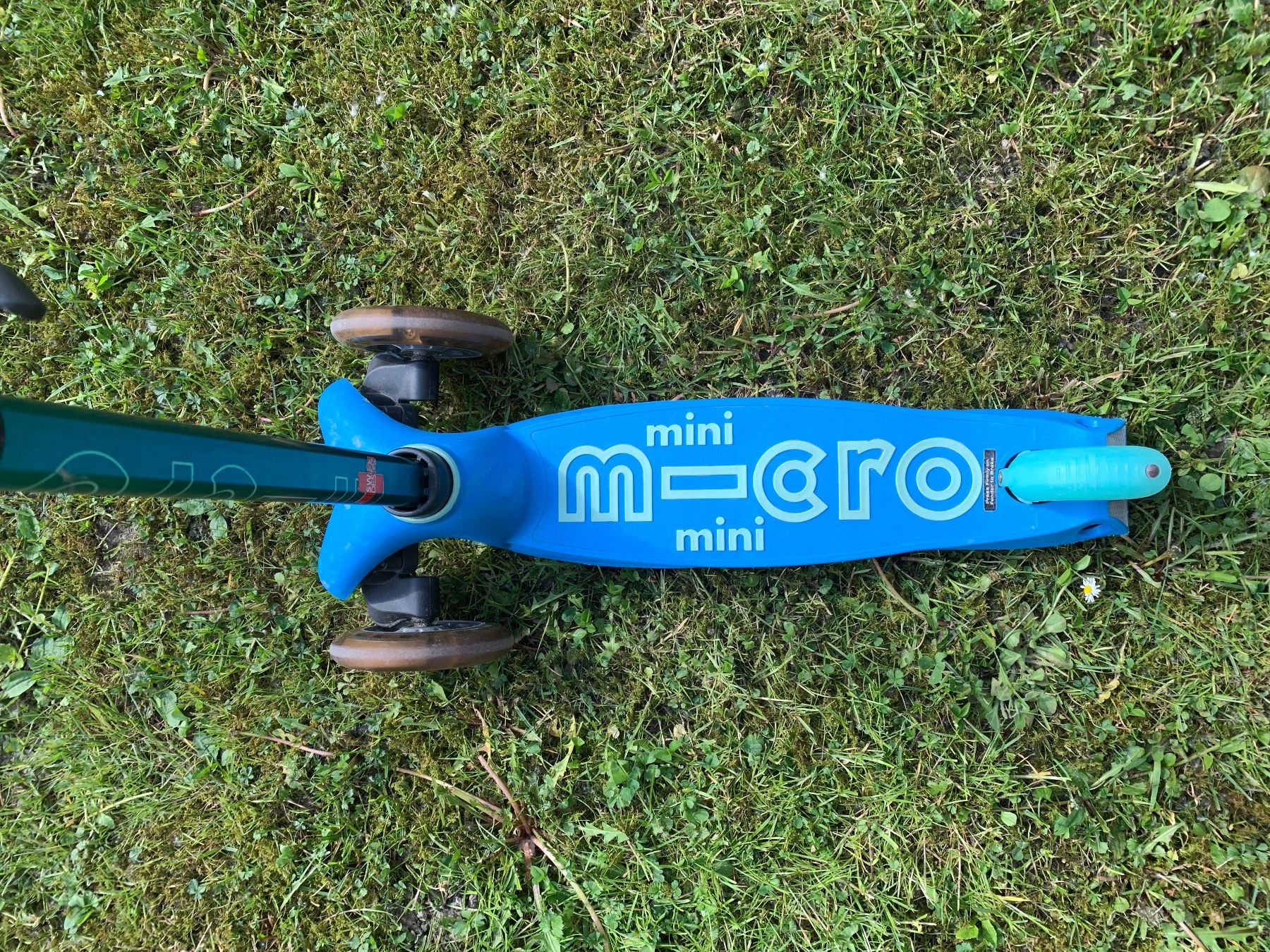 Micro Kickboard: Micro Mini Scooter - Trotti, blau/türkis – Usato da Mollis venduto da wah_p9lr 1