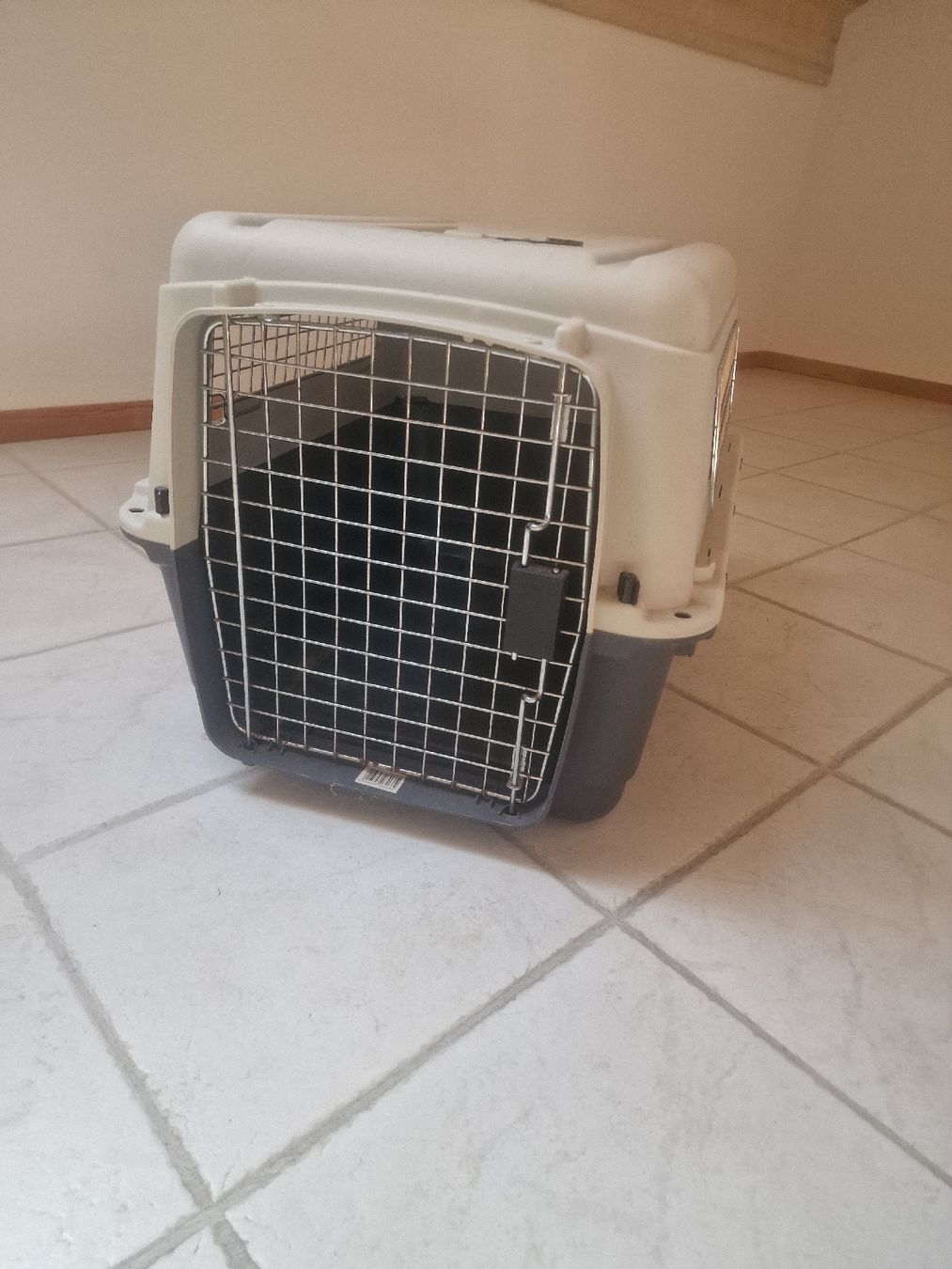 Altro in Decorazioni & Accessori: Hundebox – Nuovo (secondo la descrizione) da Ursenbach venduto da nicole90