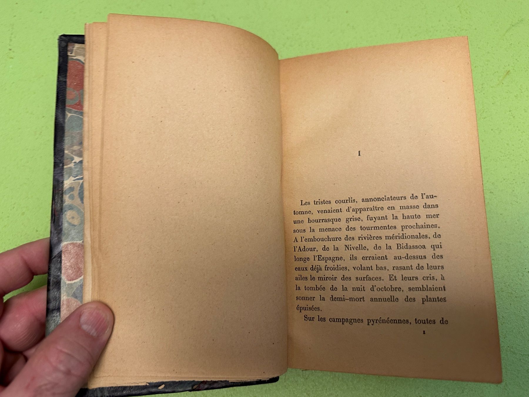 Libri: Pierre Loti: Ramuntcho. – Usato da Zürich venduto da allp 3