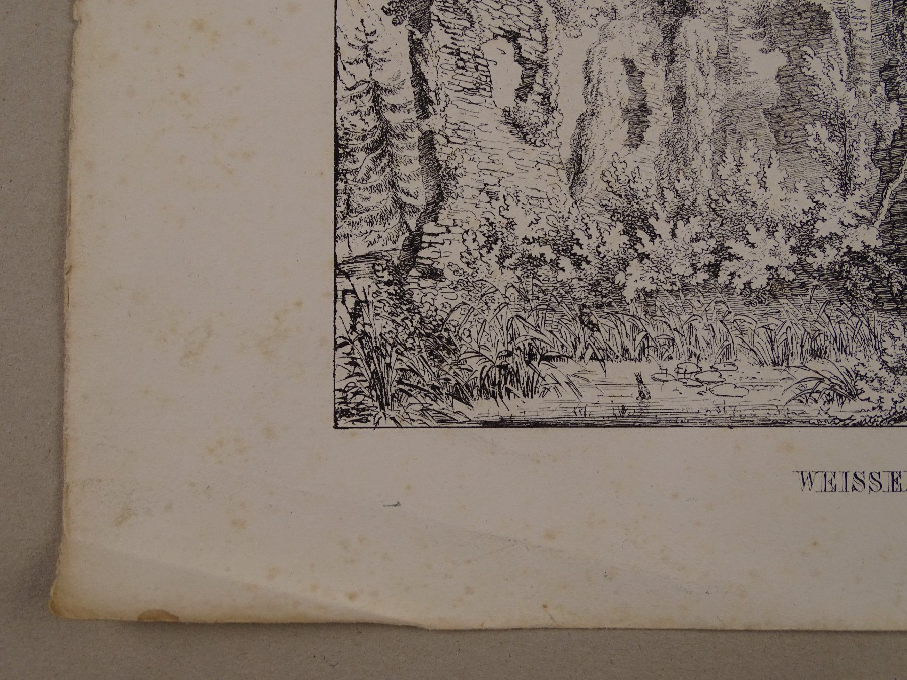 Incisioni: WEISSENAU BERN, FEDERLITHOGRAPHIE 1840 – Usato da Grüningen venduto da Kartensammler 5