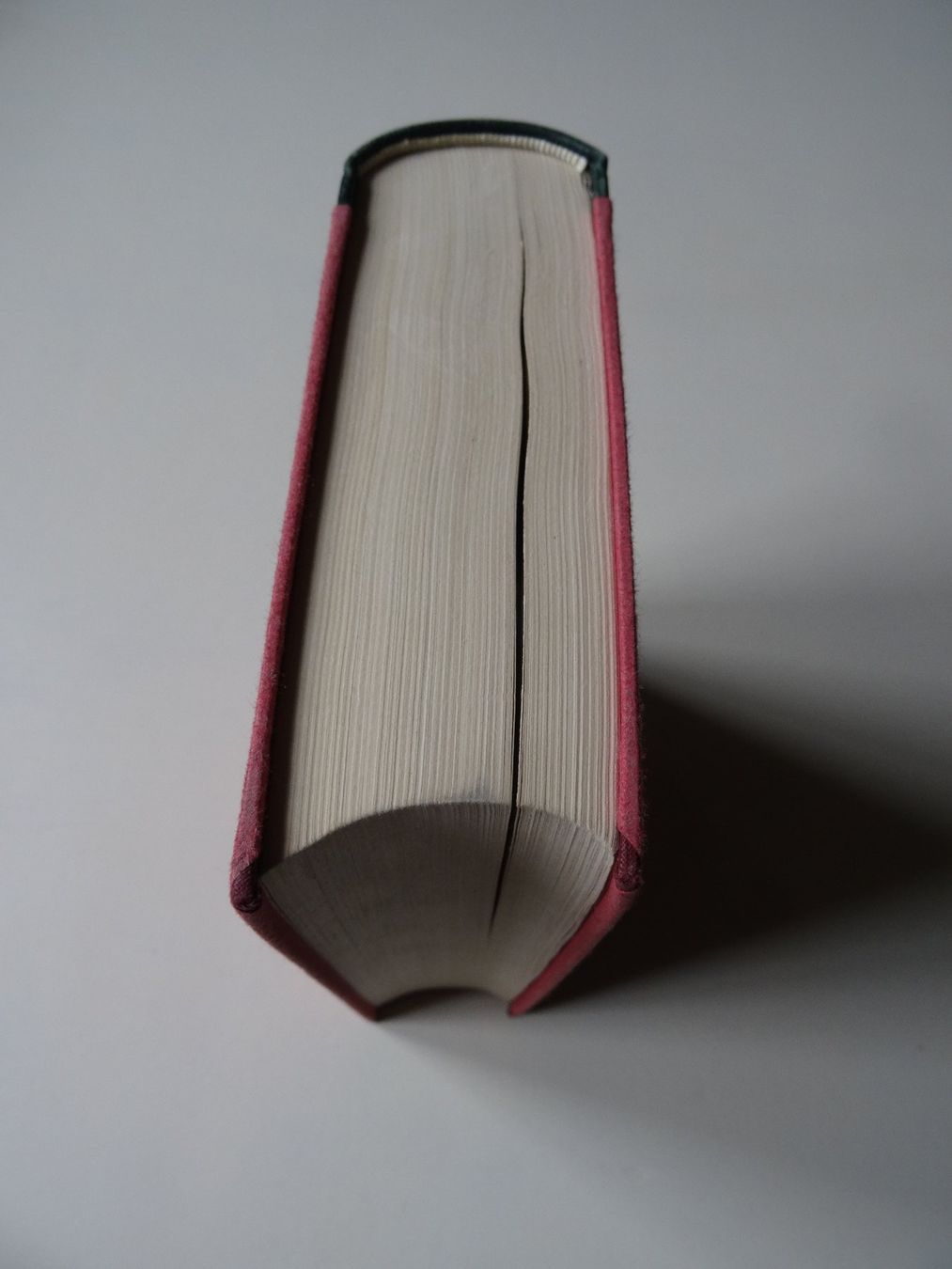 Libri: Buch von Victor Hugo – Nuovo (secondo la descrizione) da Zimmerwald venduto da ver_69wh 4