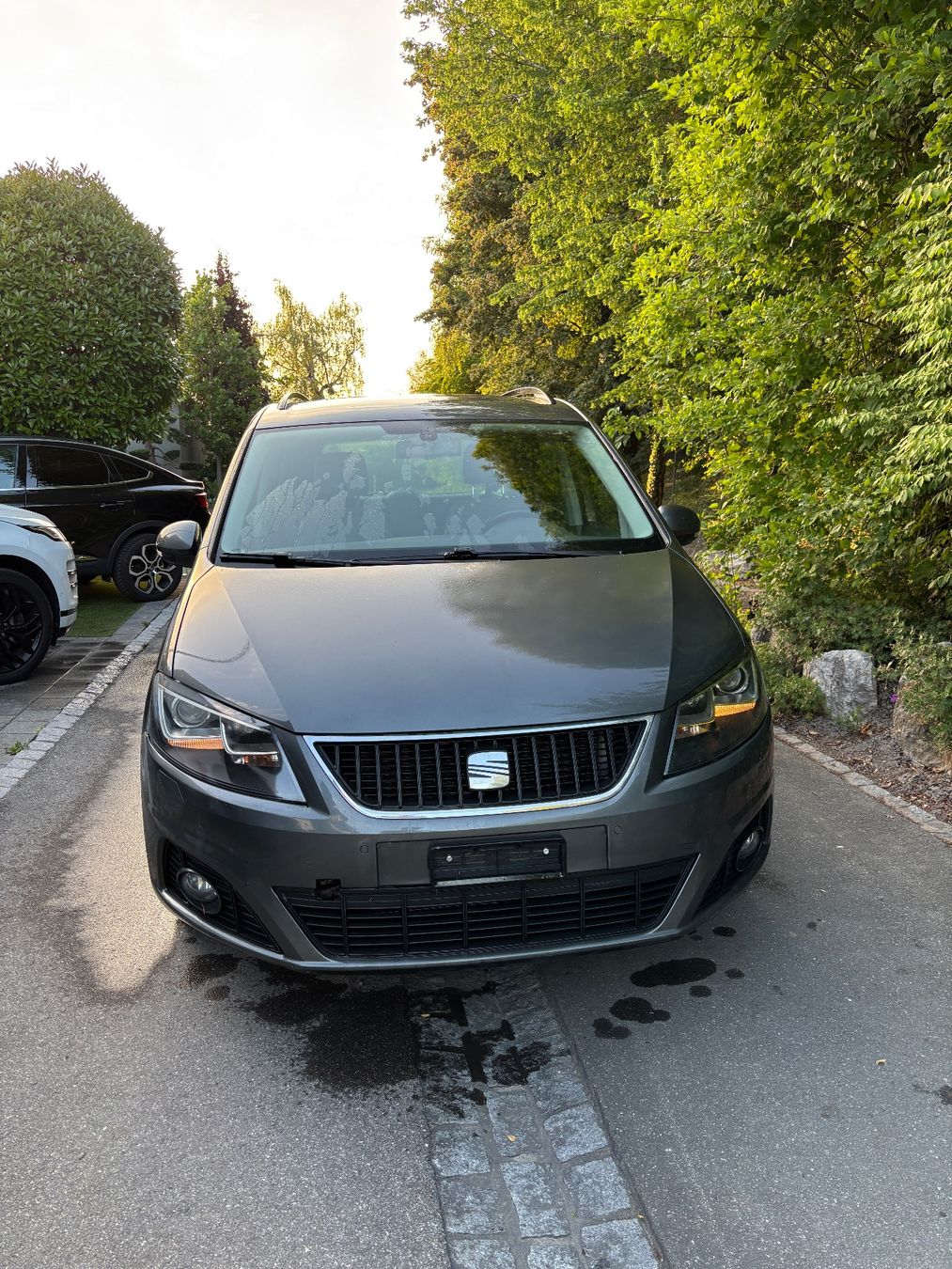 Seat Automobili: SEAT Alhambra 2.0 TSI – Usato da Bern venduto da alessiotedesco1