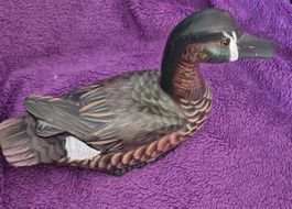 Canard décoratif en bois peint, 