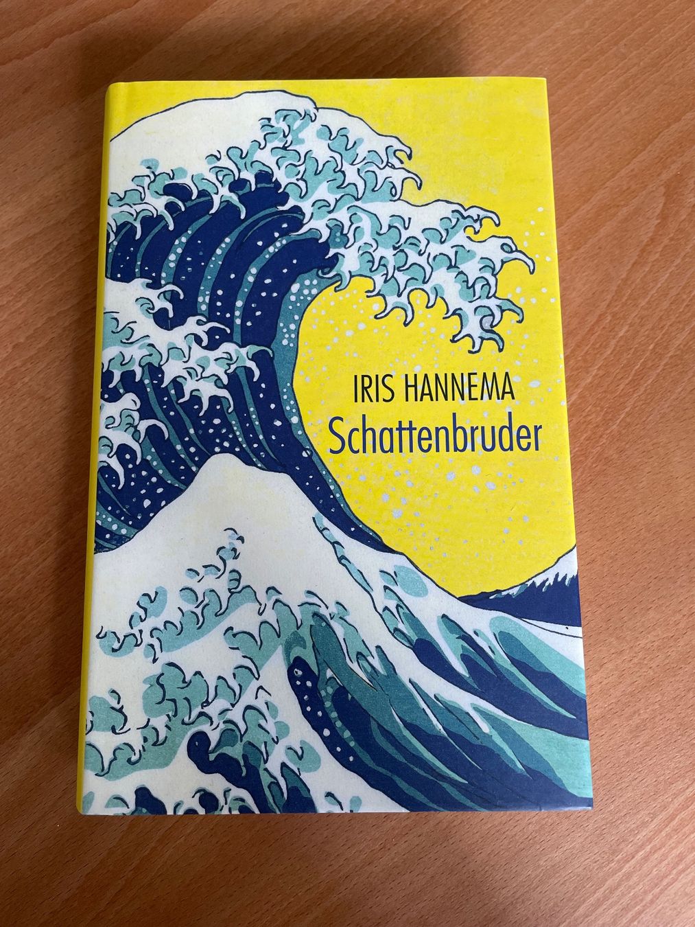 Bücher: Schattenbruder - Iris Hannema – Neu (gemäss Beschreibung) aus Zürich von Ashley28