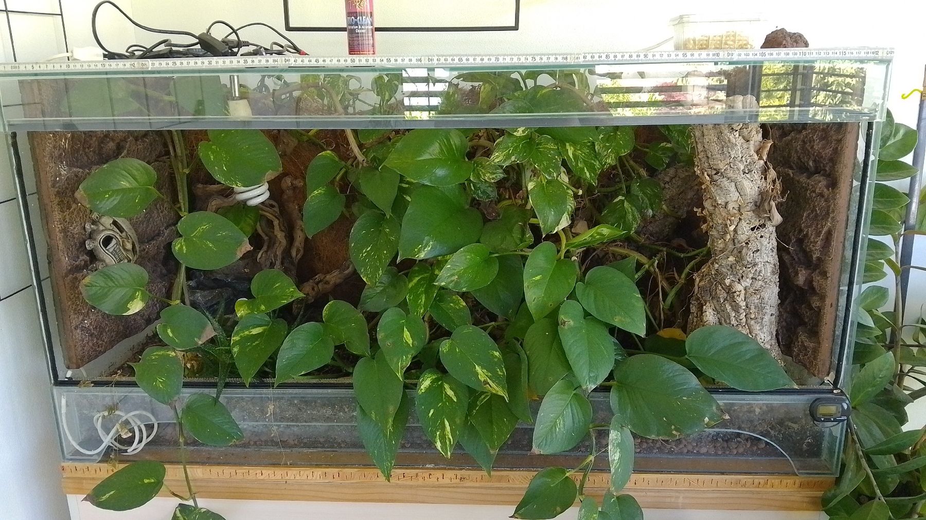 Terrariums: Terrarium 120 – D'occasion à Rüti ZH par Panana22