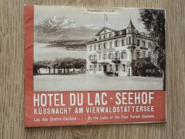 Alter Prospekt / Hotel Du Lac Seehof Küssnacht SZ ca. 1930