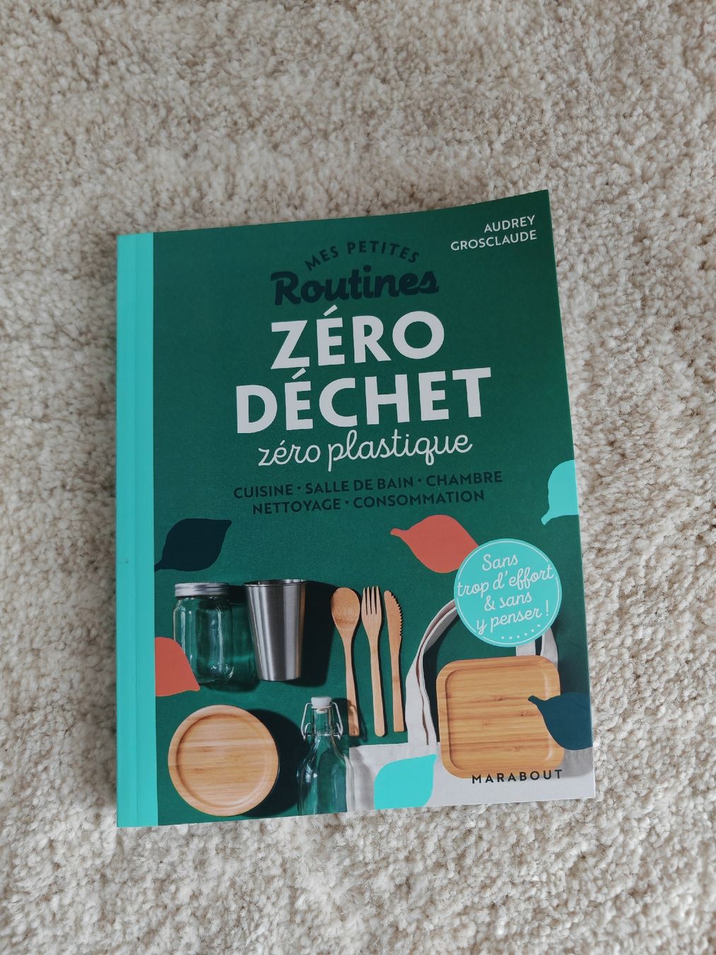 Libri: Livre Zéro Déchet: Mes Petites Routines zéro plastique – Usato da Longirod venduto da ali_nsd5