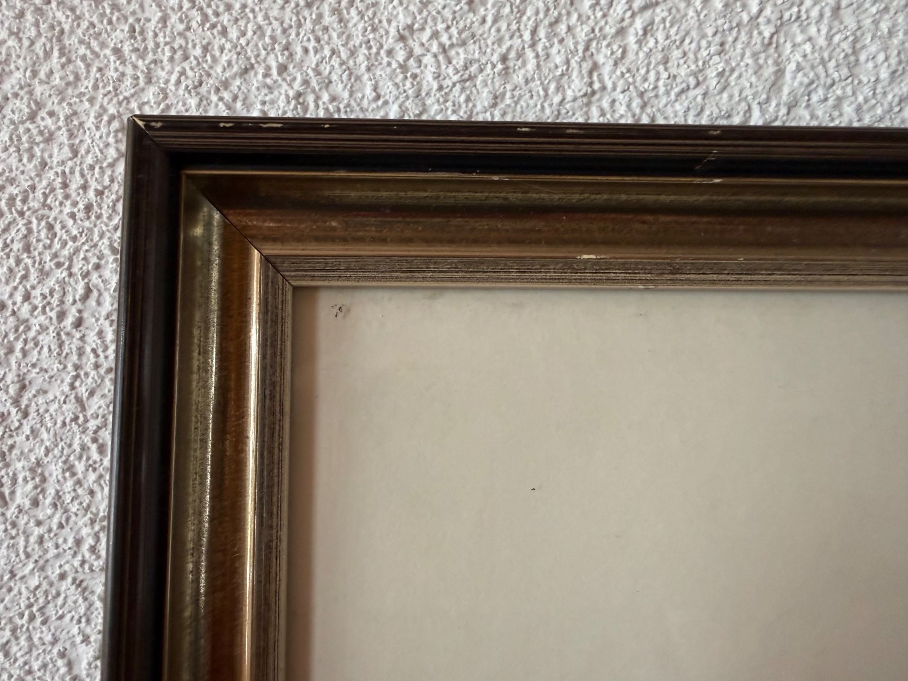Foto & Immagini: Zeichnung/Radierung ? – Usato da Altstätten SG venduto da mhu_k9gj 5