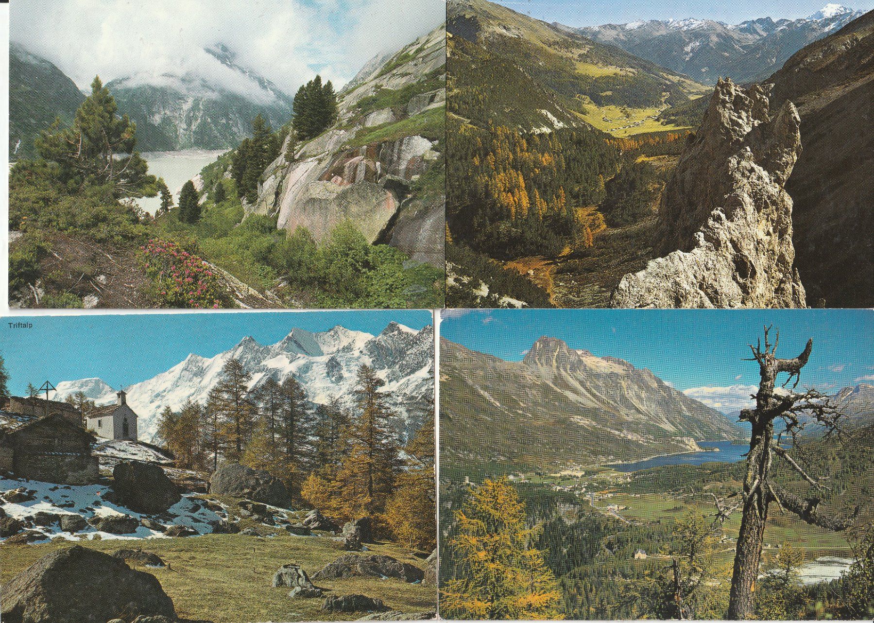 Cartoline postali: 20 AK Landschaften Engadin – Usato da Lumbrein venduto da made02