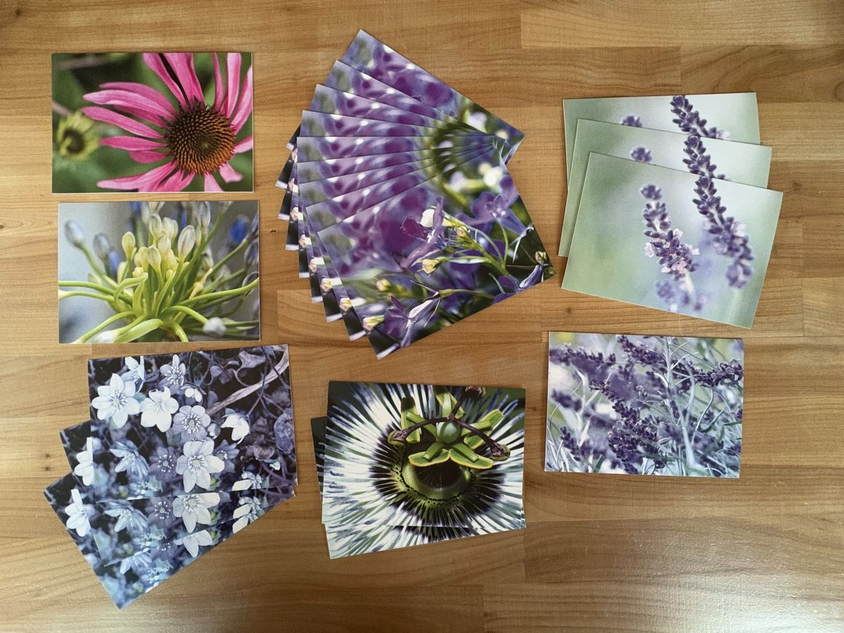 Cartoline postali: 20 AK mit Pflanzen / Blumen – Nuovo (secondo la descrizione) da Rümlang venduto da Kartenpost1