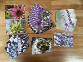 20 AK mit Pflanzen / Blumen