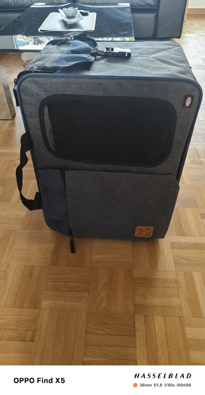 Zaini: Hubderucksack/Tasche – Nuovo (secondo la descrizione) da Bern venduto da jes_7mk2 1