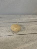 Schwimmkerze