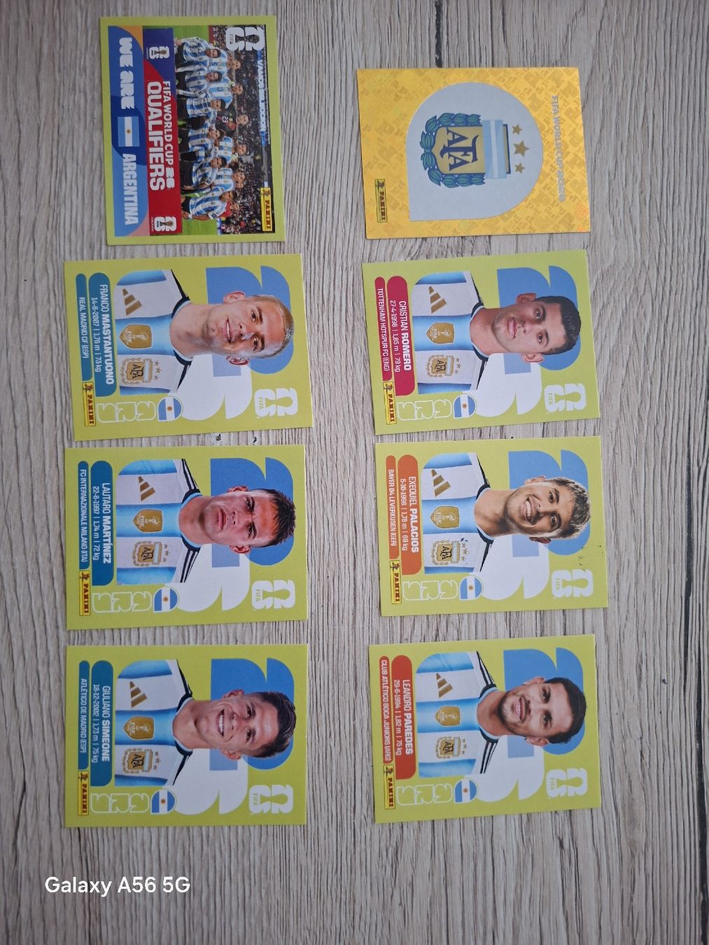 Panini Carte collezionabili: panini arg – Nuovo e nell'imballaggio originale da Vionnaz venduto da NMNB 1