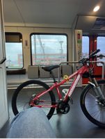 Mountainbike Canyon rosso taglia M buon stato