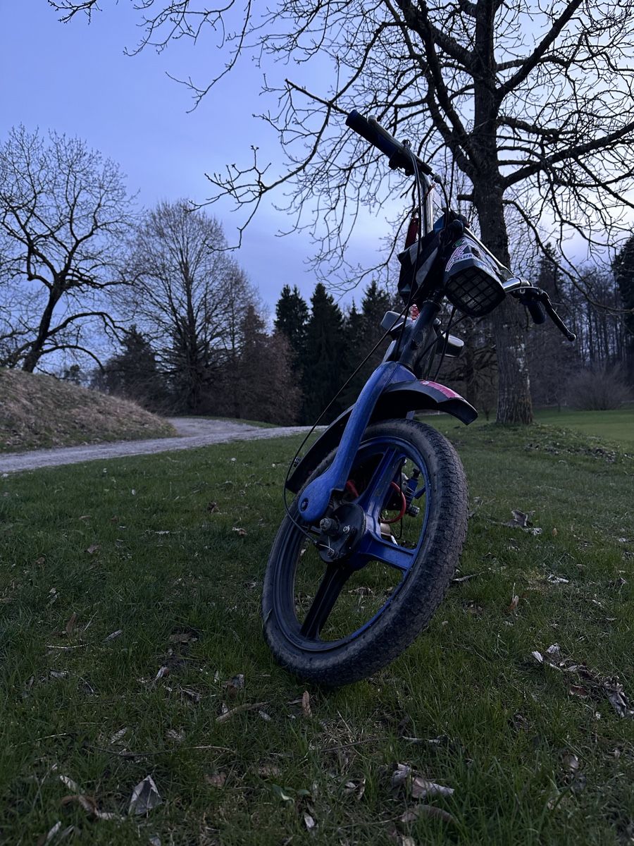 Piaggio Mofas: Piaggio ciao – Gebraucht aus Nürensdorf von mari73 2