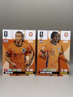 Panini Adrenalyn XL - 314 & 315