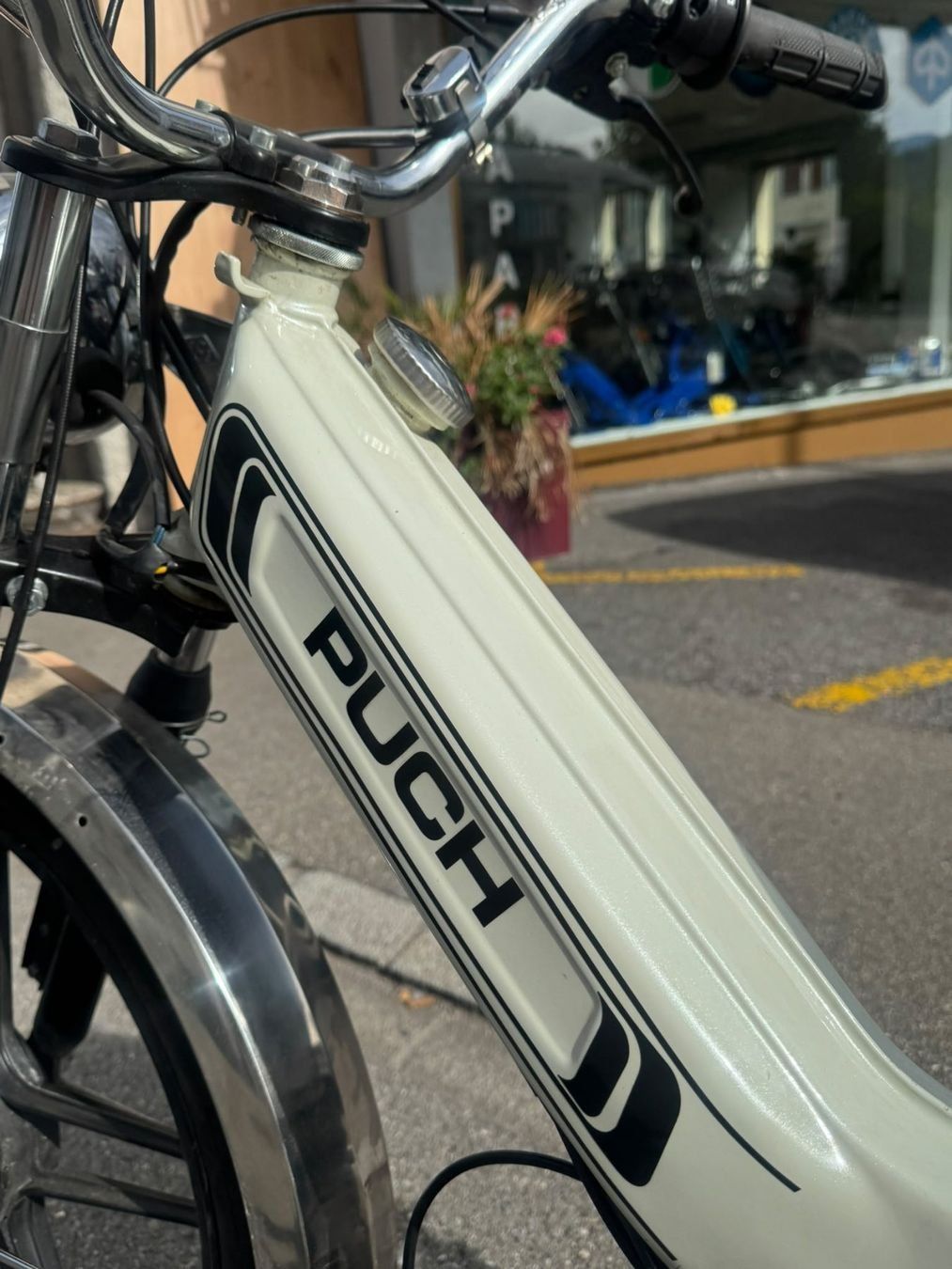 Puch Ciclomotori: Puch Maxi S mit Ausweis – Usato da Schmerikon venduto da Mofaparts 5