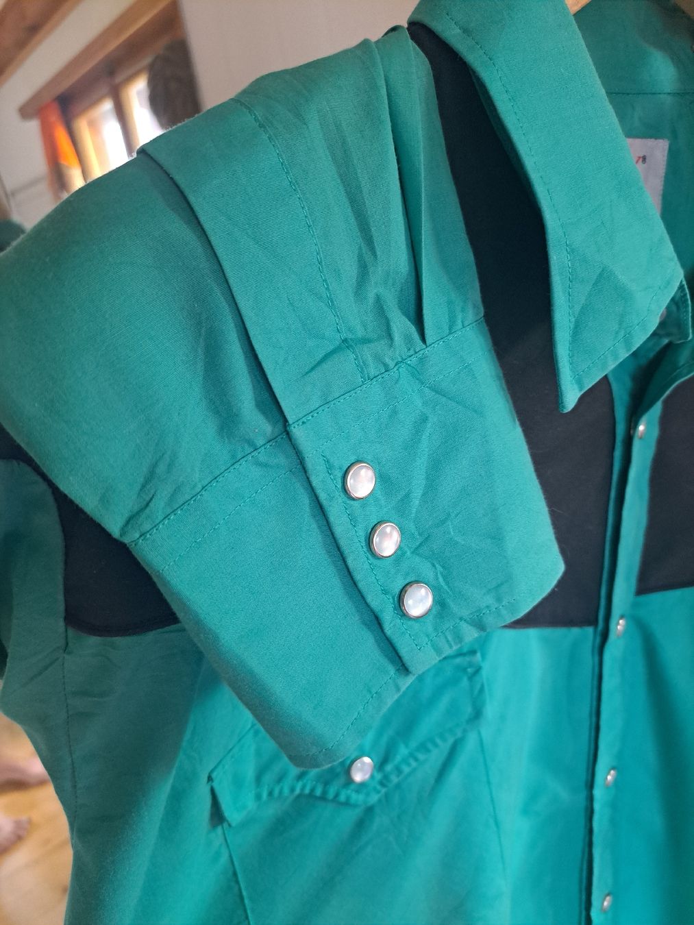 Hemden: ELY DIAMOND Western Hemd Vintage XL 54 Linedance Cowboy – Gebraucht aus Mollis von Fauchi99 3