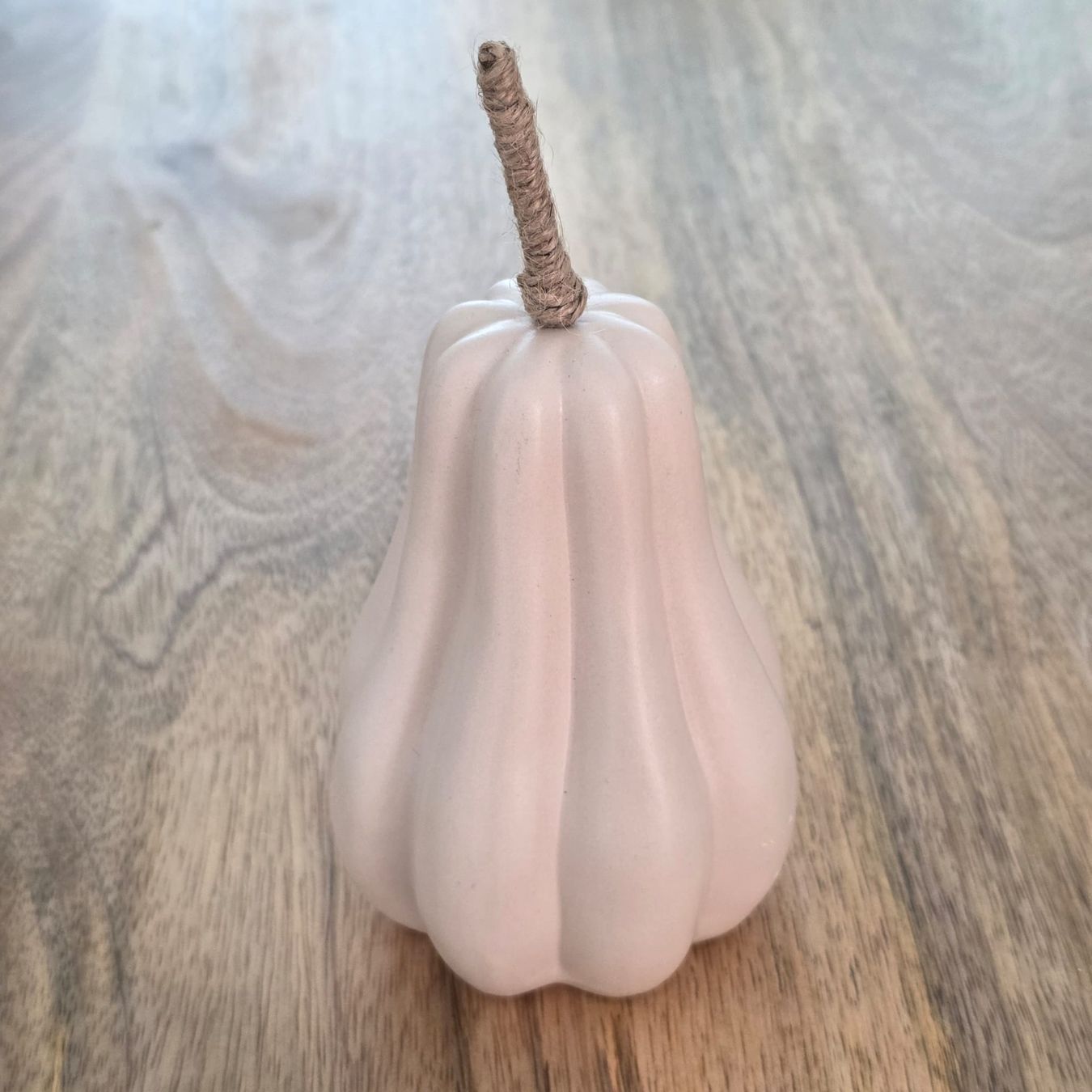 Tutte le decorazioni: Deko Kuerbis weiss  – Usato da Rheinsulz venduto da Dred 3