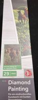 Diamond Painting - Chevaux sauvages - Kit complet neuf
