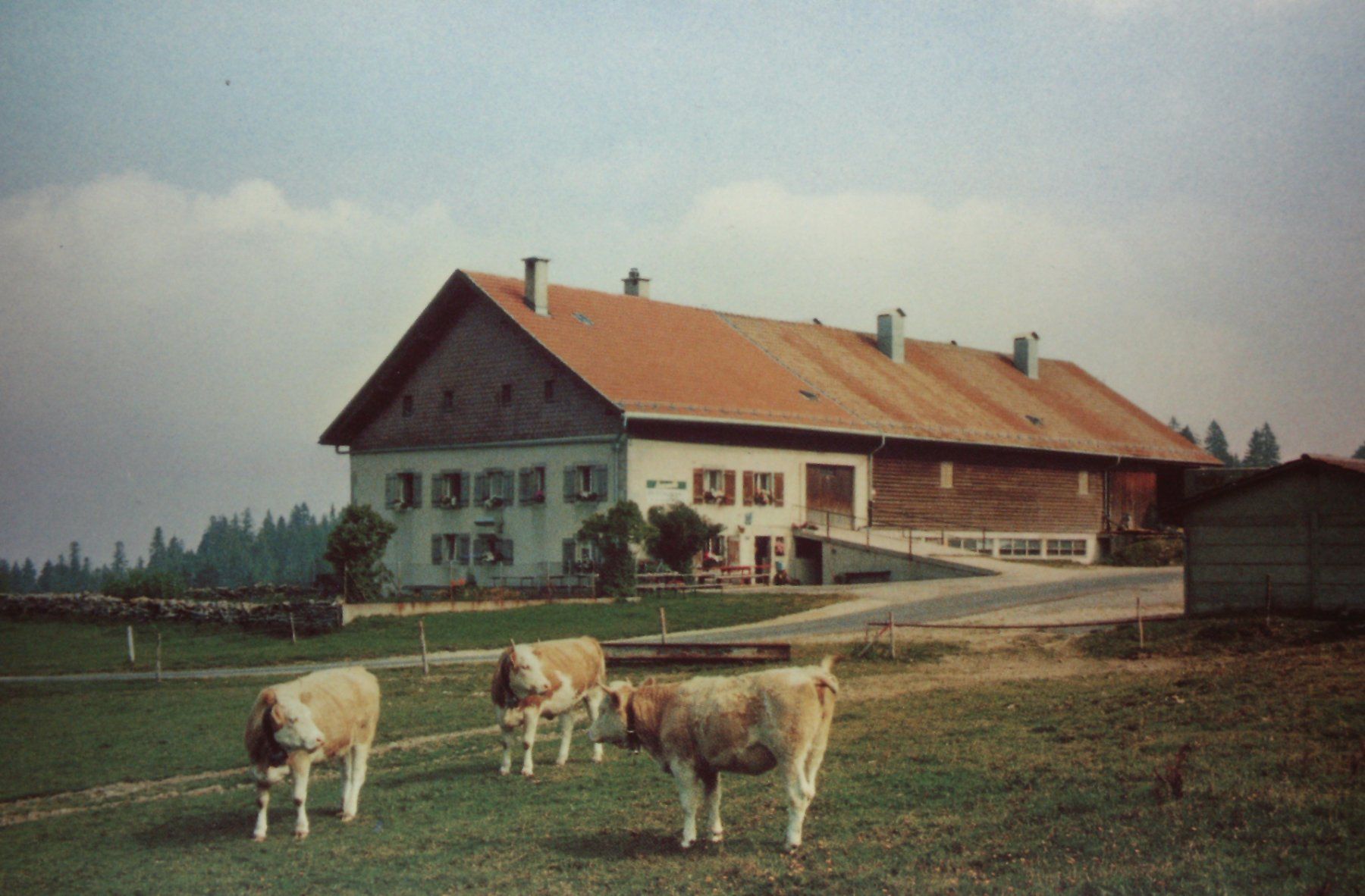 Cartoline postali: La ferme modèle au dessus des Brenets – Usato da Le Locle venduto da Roger46