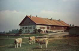 La ferme modèle au dessus des Brenets