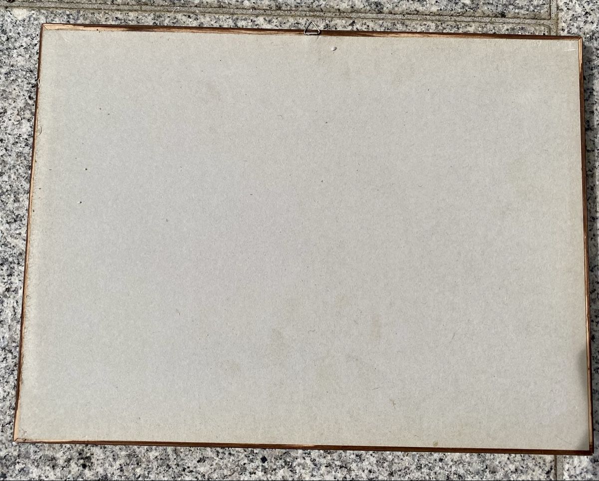 Foto & Immagini: Komplette Sammlung Postauto-Pin – Usato da Rotkreuz venduto da Once0 7