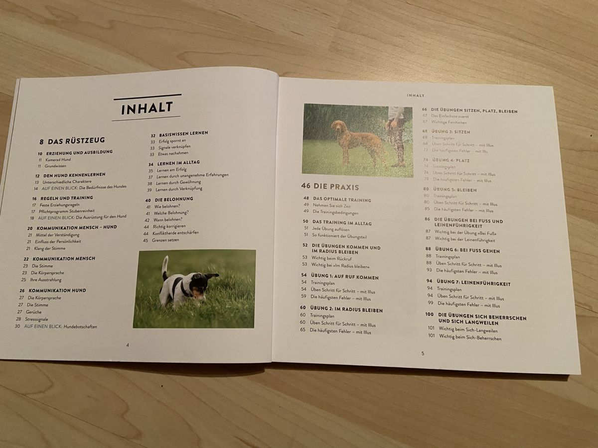 Libri: Hundeerziehung – Nuovo (secondo la descrizione) da Birmenstorf AG venduto da SlinaPaolo 2