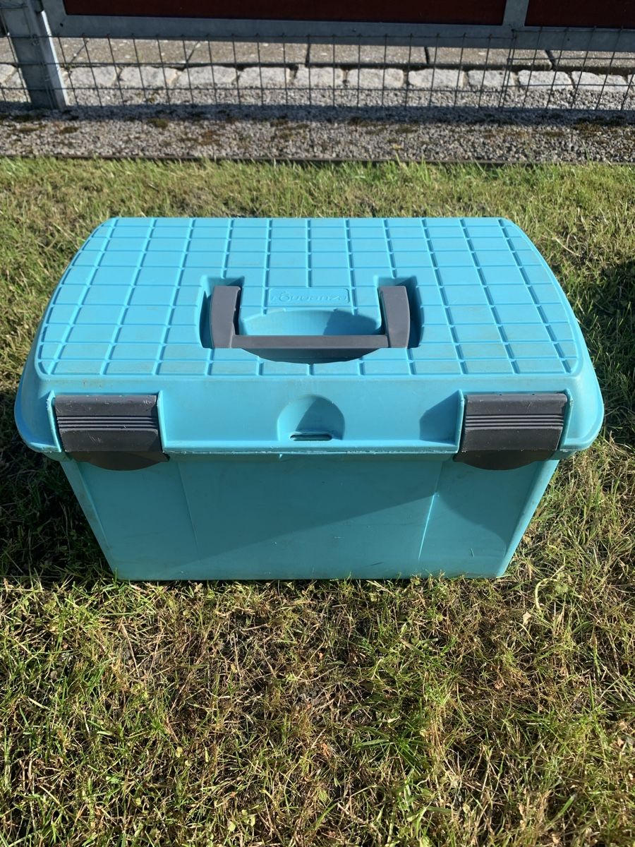 Altro per la casa: Putzbox mit Striegel – Usato da Widnau venduto da S31 7