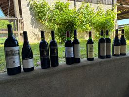 Konvolut 10 Vintage-Weinflaschen (1983–2005)